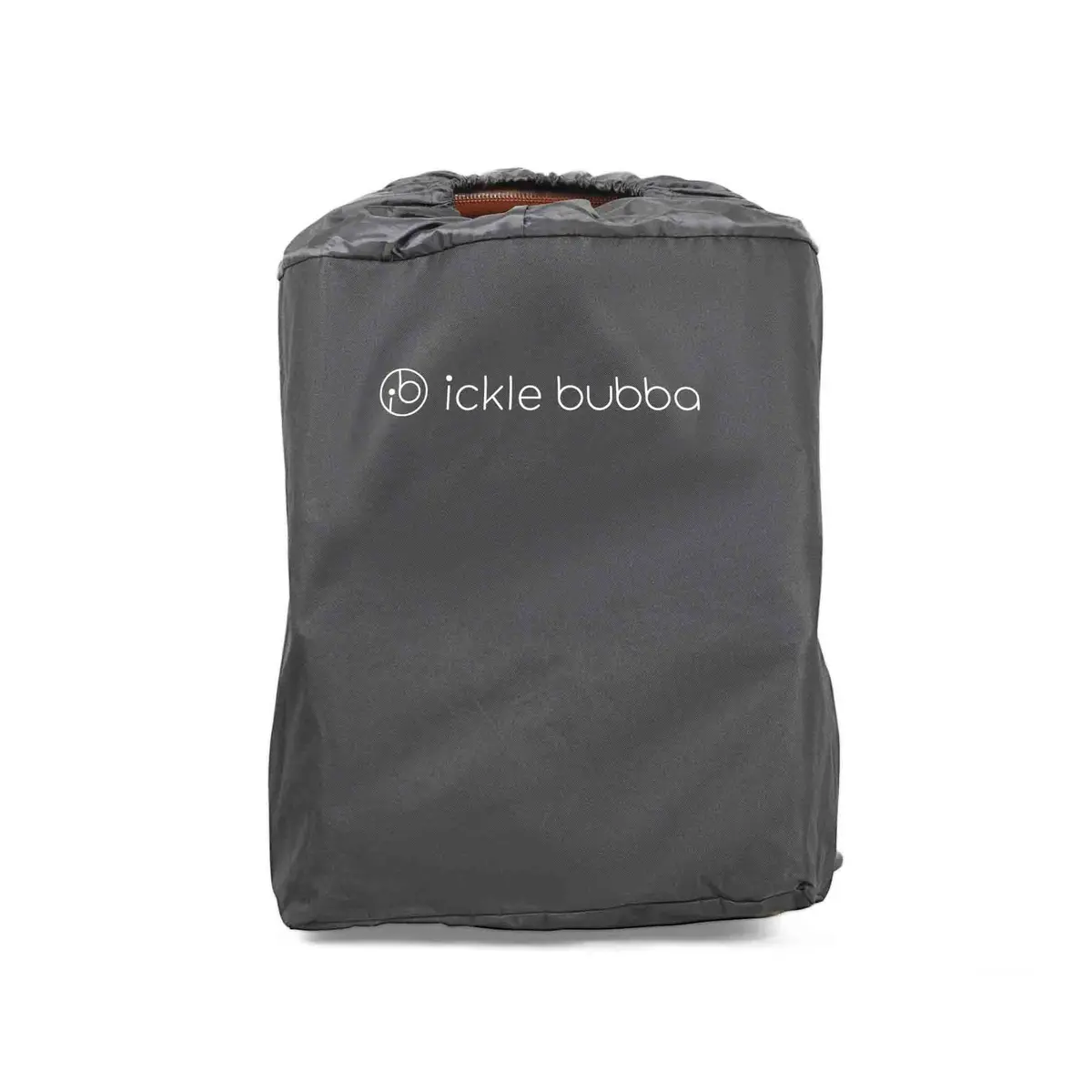 Aries/Pisces/Globe Carry Bag 1