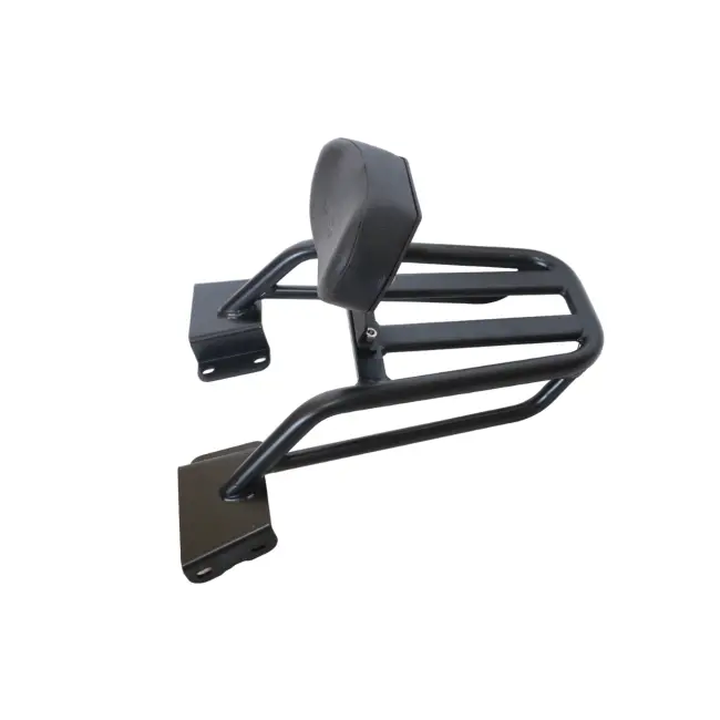 Pipe Carrier With Backrest For Cb 200X 1