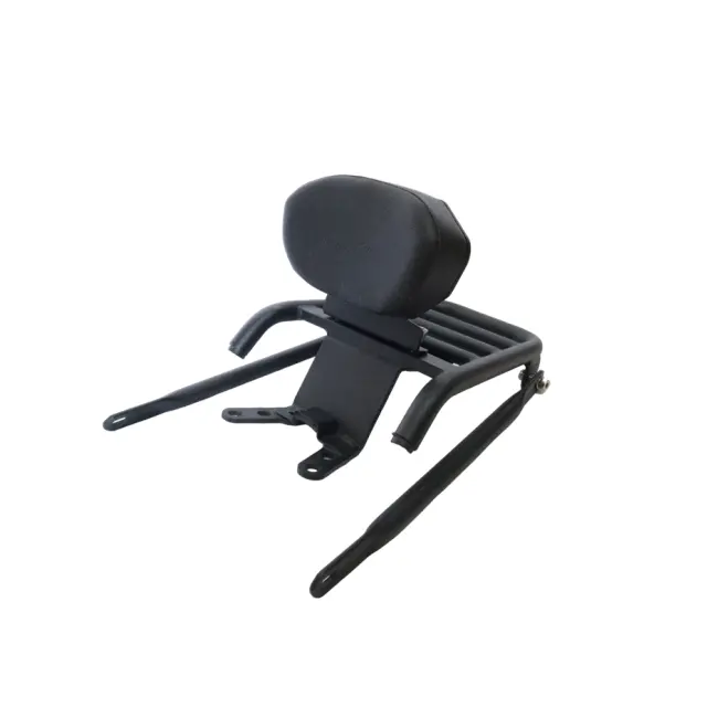 Pipe Carrier With Backrest For Apache Rtr 200 1