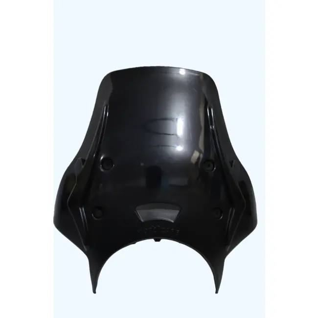 Polycarbonate Visor For Himalayan 450 1