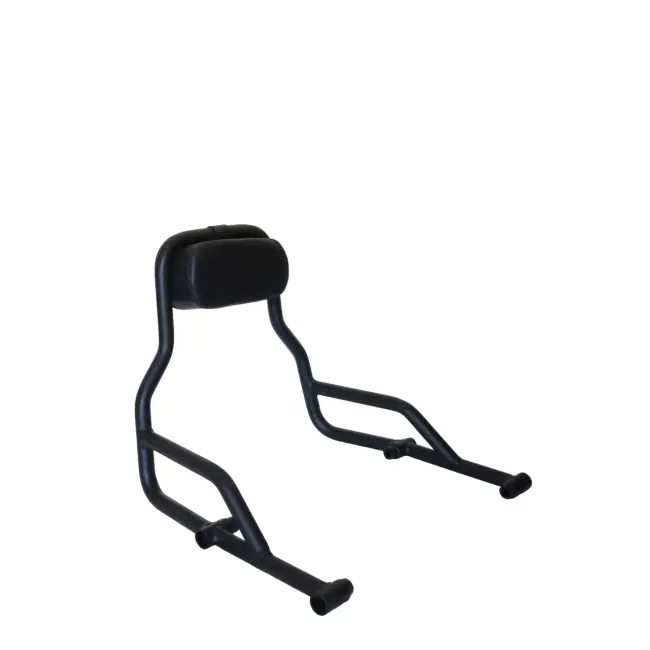 Pipe Backrest For Harley Davidson X440 1