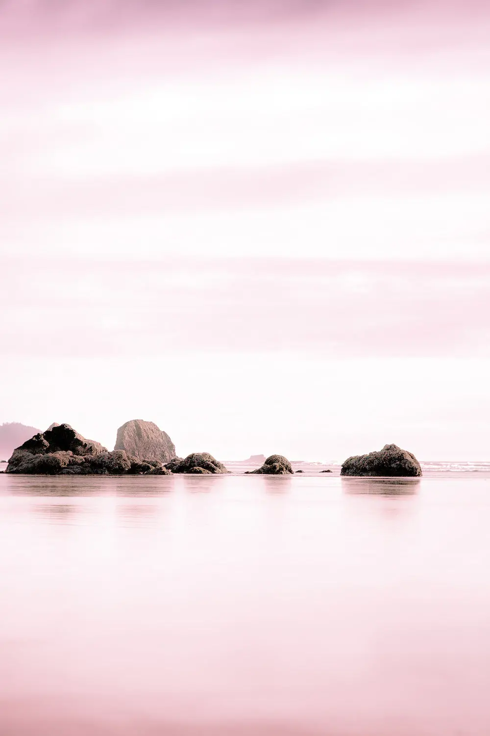 Oregon Coast - Pink 1