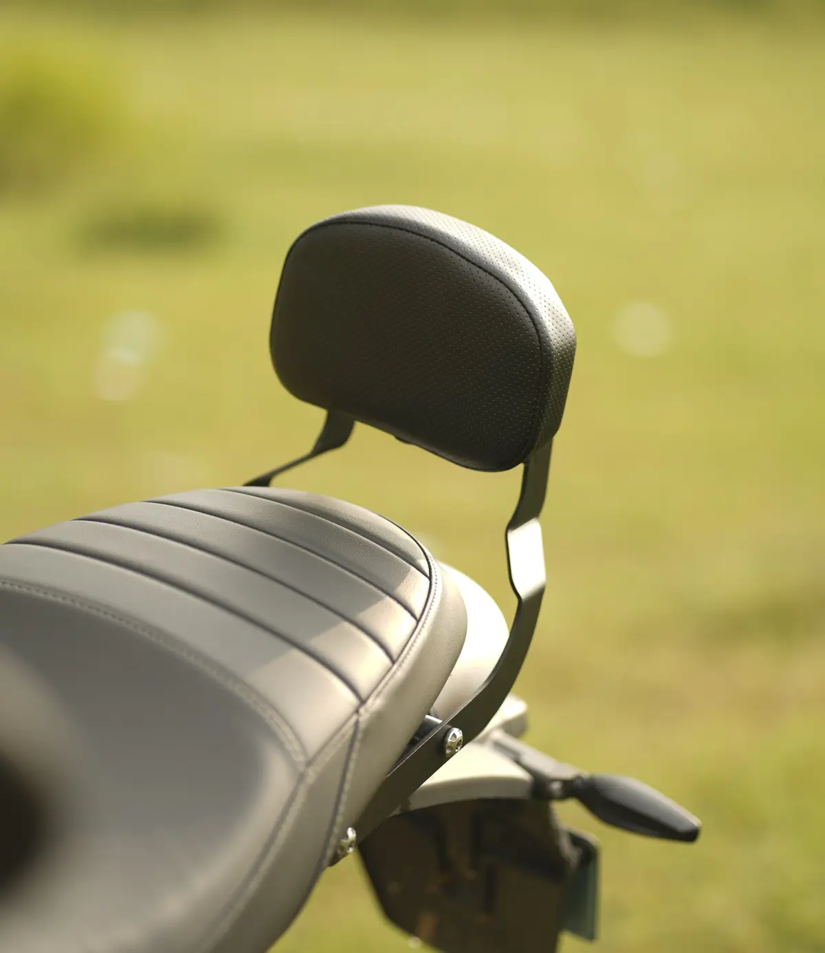Back Rest For Triumph Speed 400 1