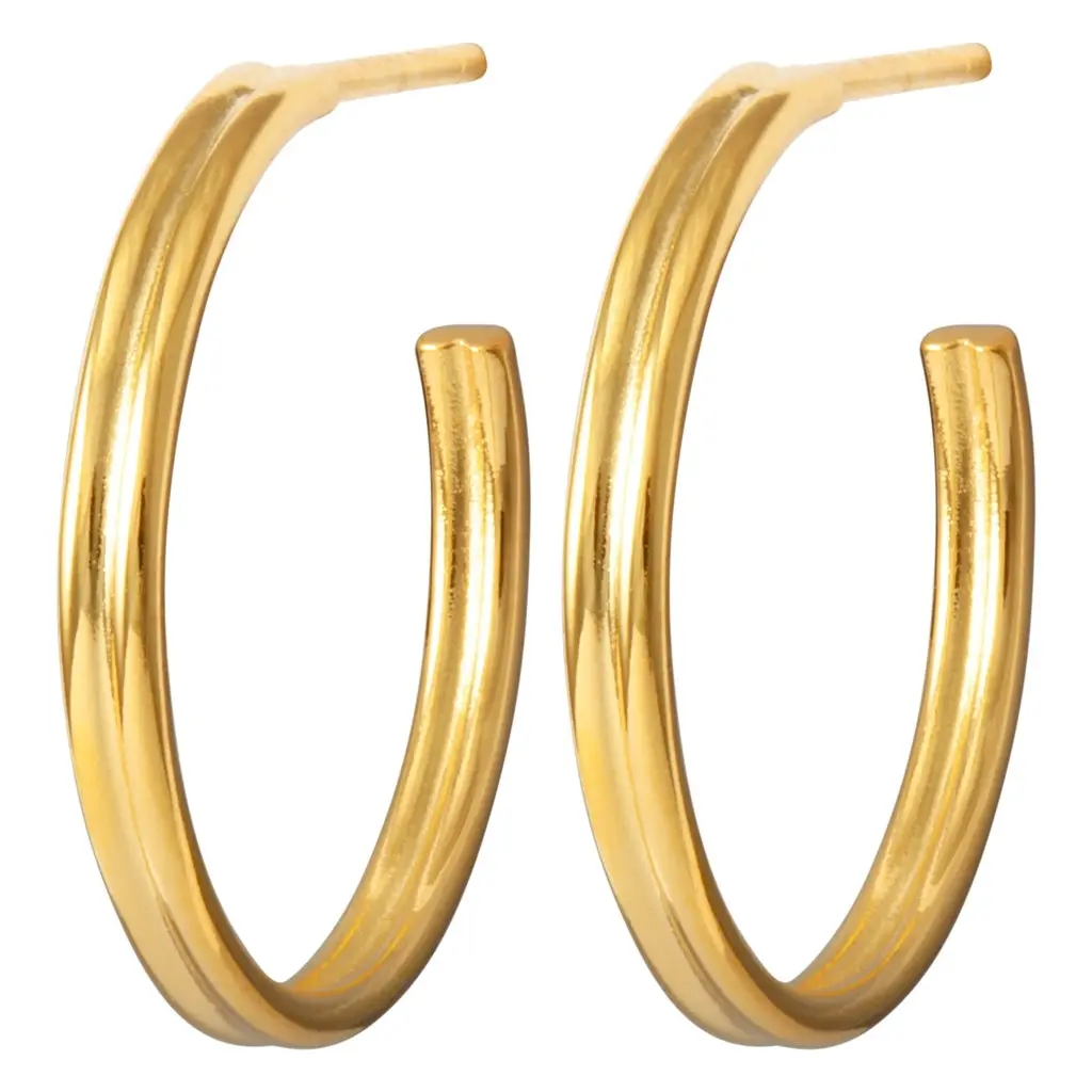 2For1 Medium Hoops Pair 1