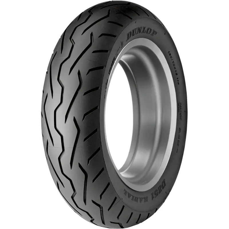 Dunlop D251 Oem Replacement Rear Tire 1