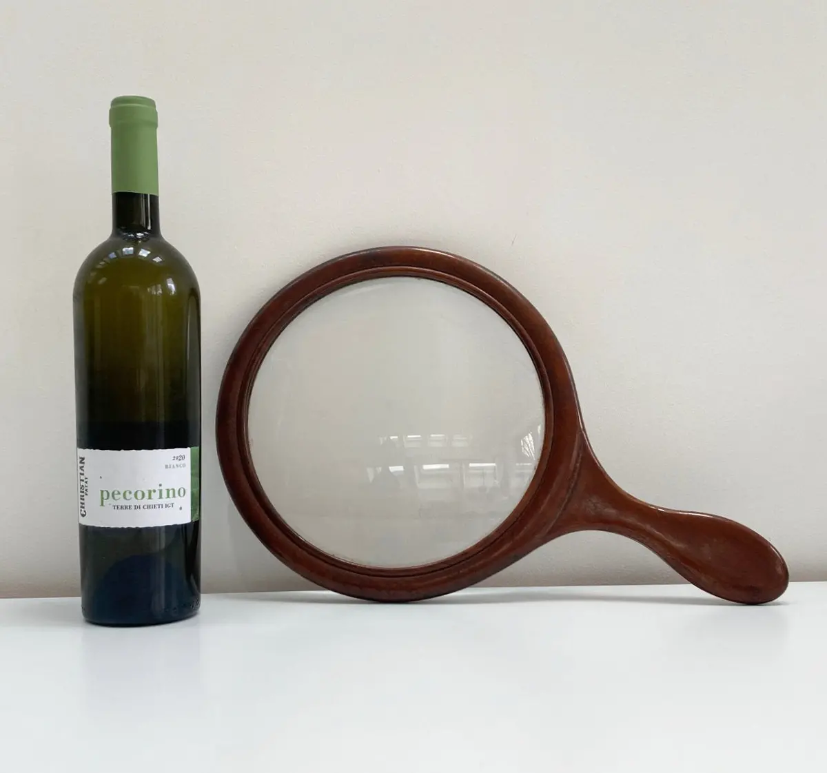 Early Nineteenth Century Meniscus Lens Gallery Glass Or Library Glass 1