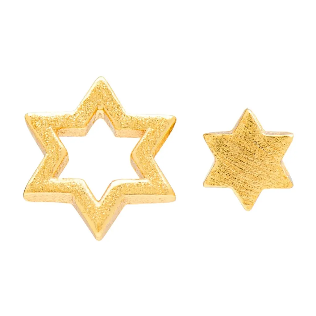 Family Star Earrings Pair - Gold Plated 1