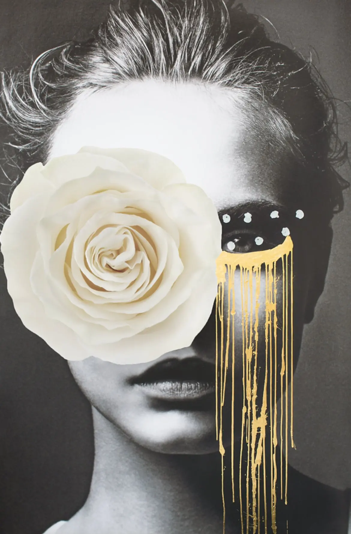 Golden Eye (White Rose) 1
