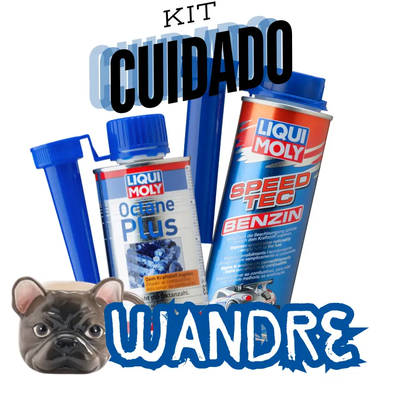Kit Wandre Liqui Moly Proteção Gasolina 1
