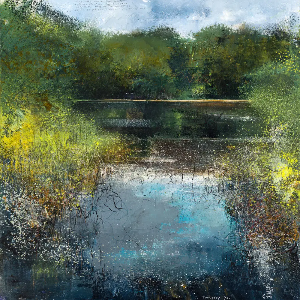 Trevider Pool. Lithoprint. 1