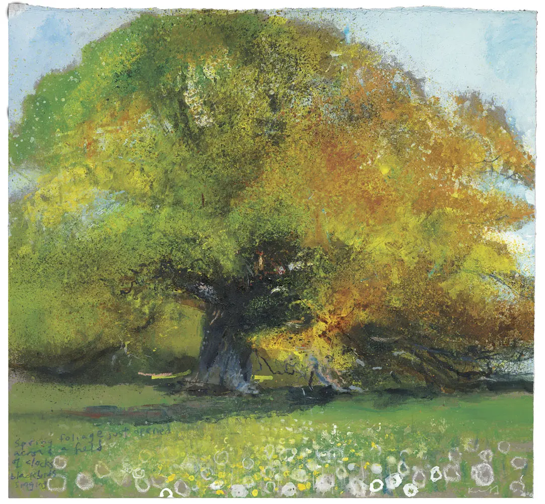 Spring Foliage Just Opened. Greeting Card. Pack Of 4. 1