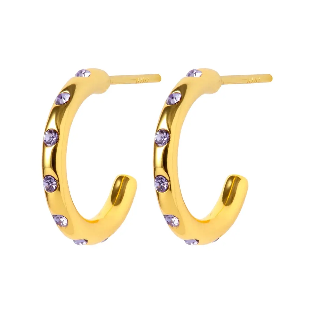 Omg Hoops Small Pair Gold Plated - Violet 1