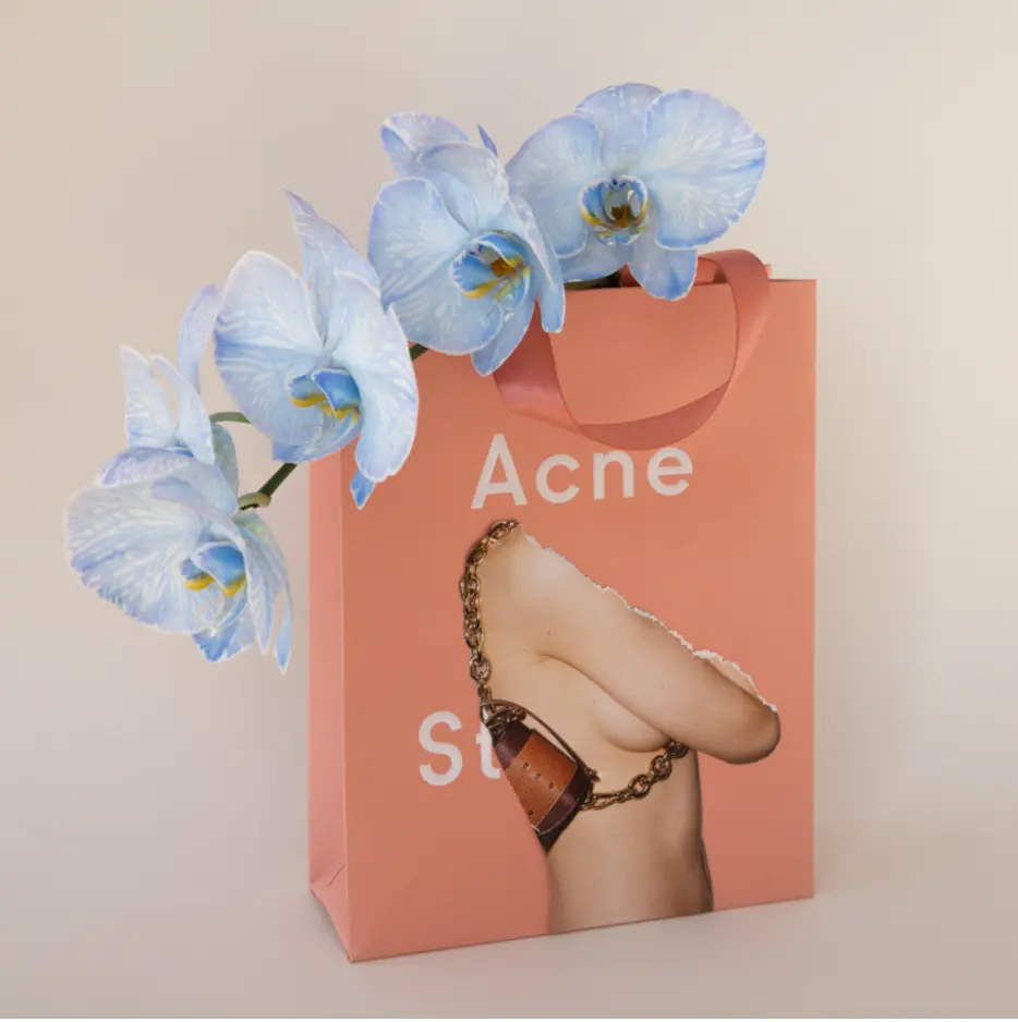Bagged It (Acne/Baby Blues) 1