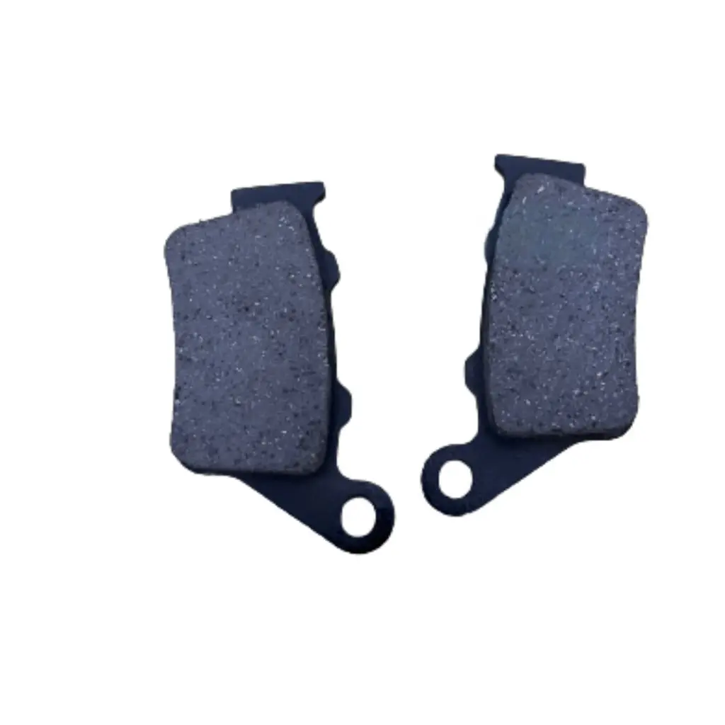 Apache Rr 310 Rear Brake Pads | Tvs 1