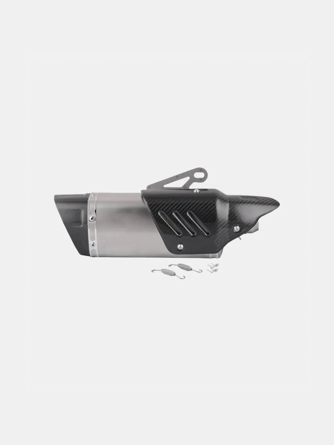Akra Silver End Carbon Shield Exhaust 1