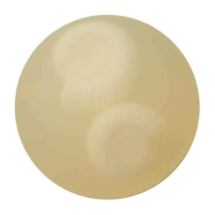 Fossil, 140G Round (Pack Of 6) 1