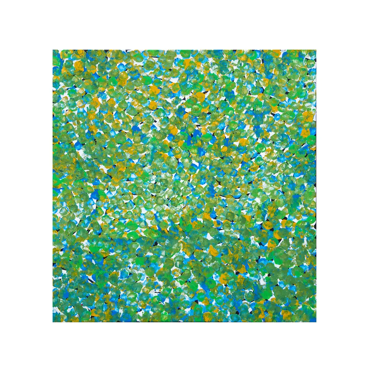 Galya Pwerle | Original Artwork | Awelye Atnwengerrp - Id40935 1