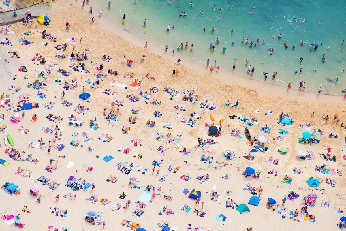 Manly Beach Sunbathers 1