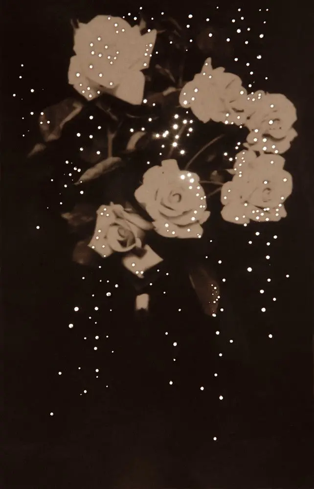 Mom's Roses, 1914 1