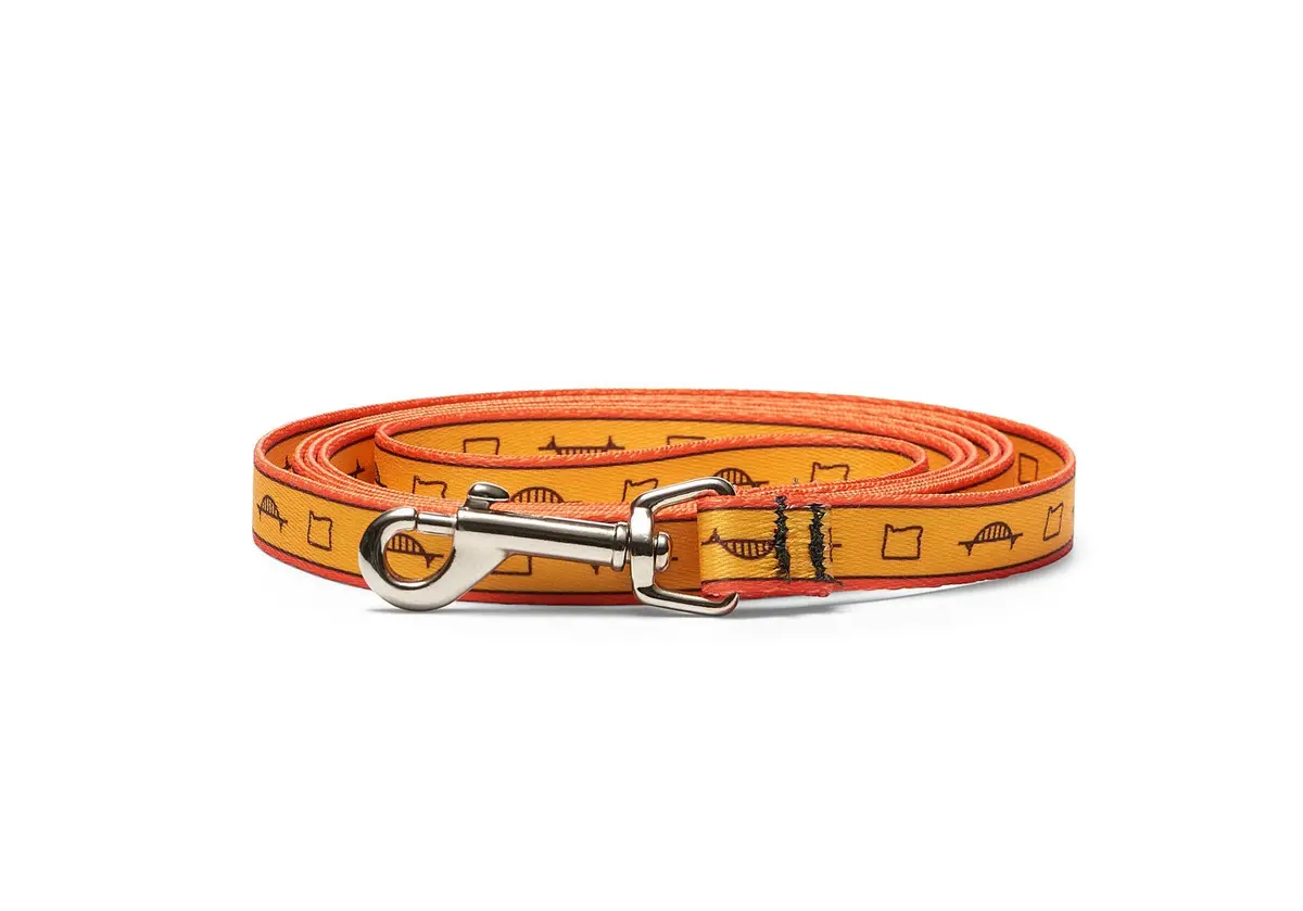 Ppfc Small Dog Leash 1