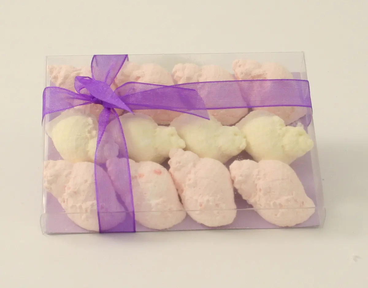Shell Gift Set (Pack Of 6) 1