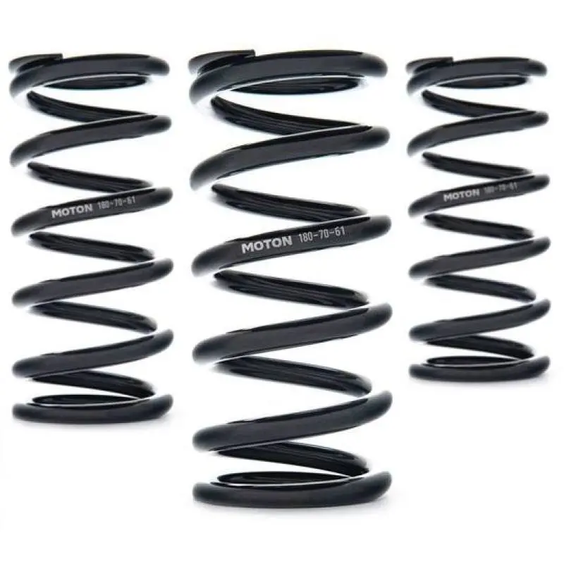 Ast Linear Performance Coil Springs – 250 Mm Length, 150 N/Mm Rate, 61 Mm Id (Pair) 1